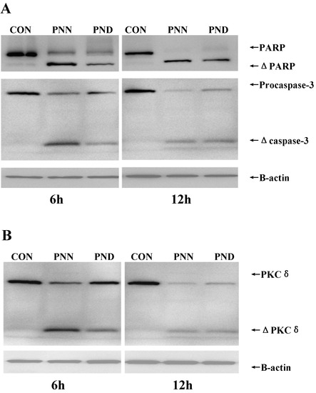 Molecules 16 05561 g006 550