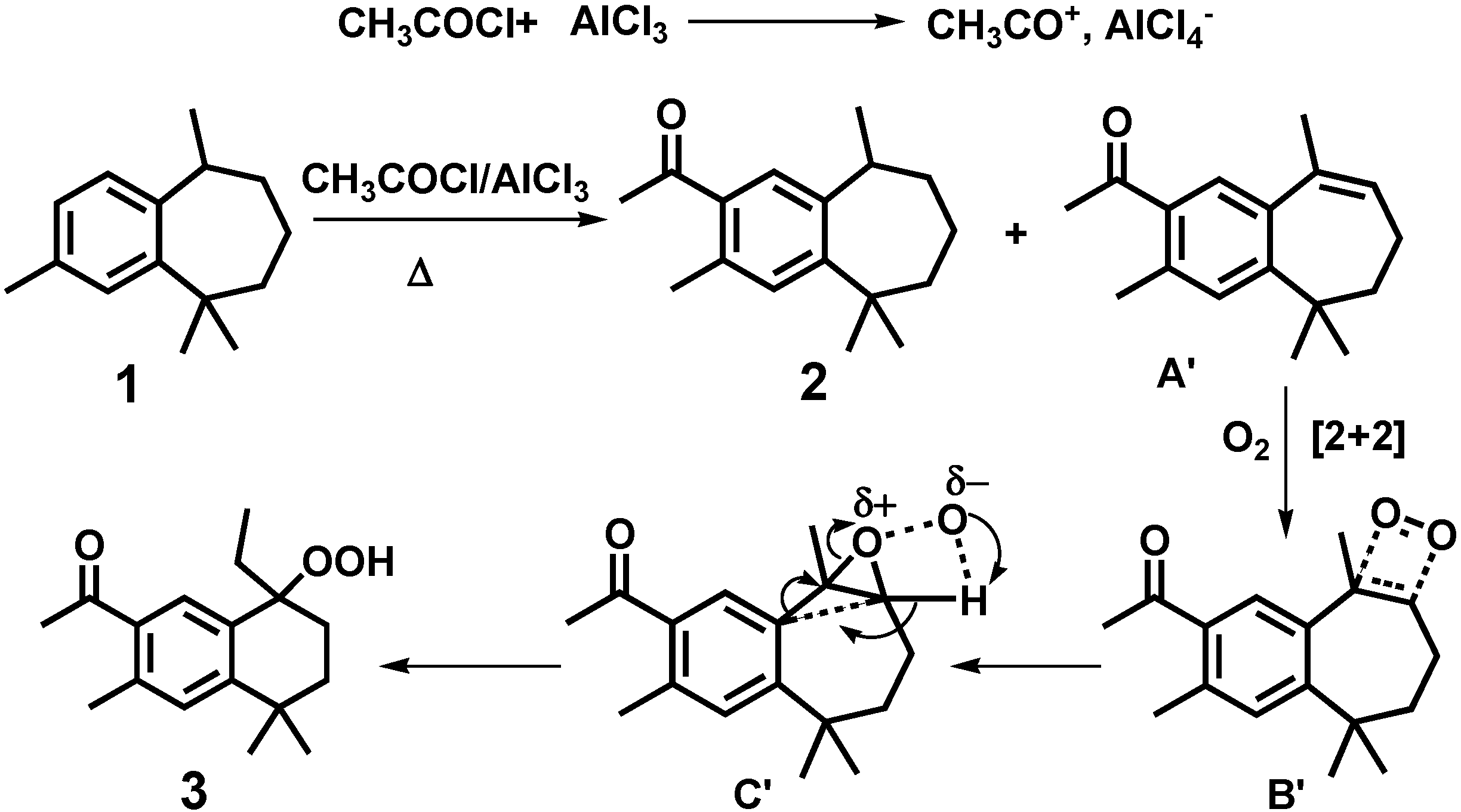 Molecules 16 05886 g007