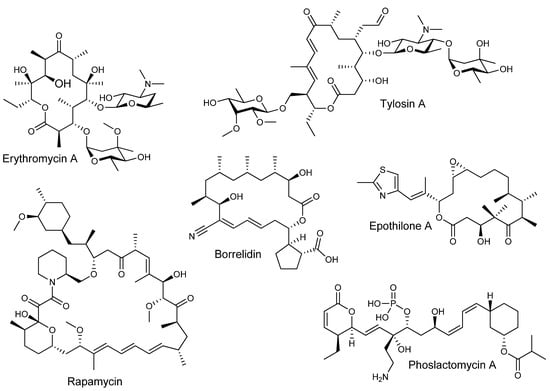 Molecules 16 06092 g001 550