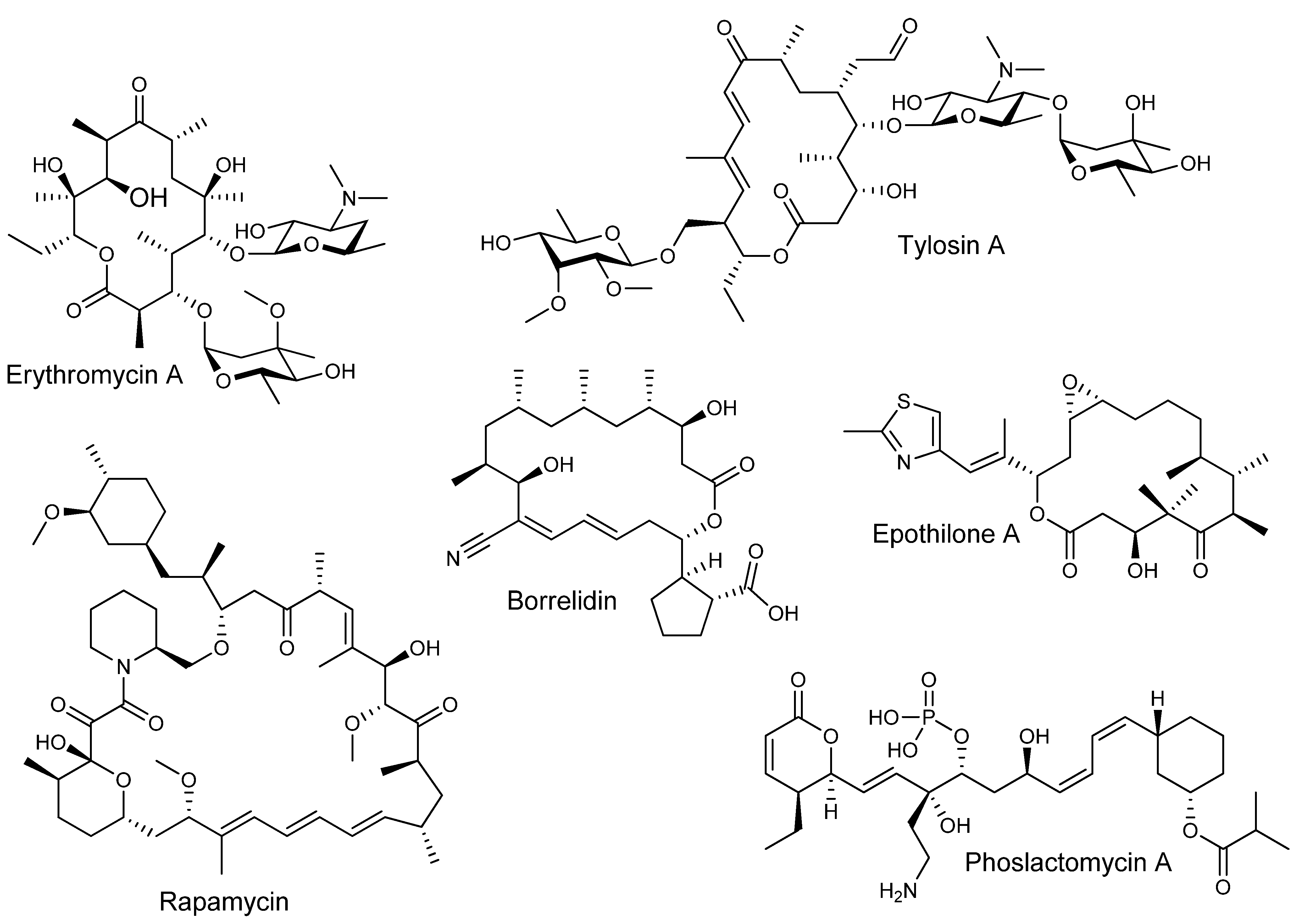 Molecules 16 06092 g001