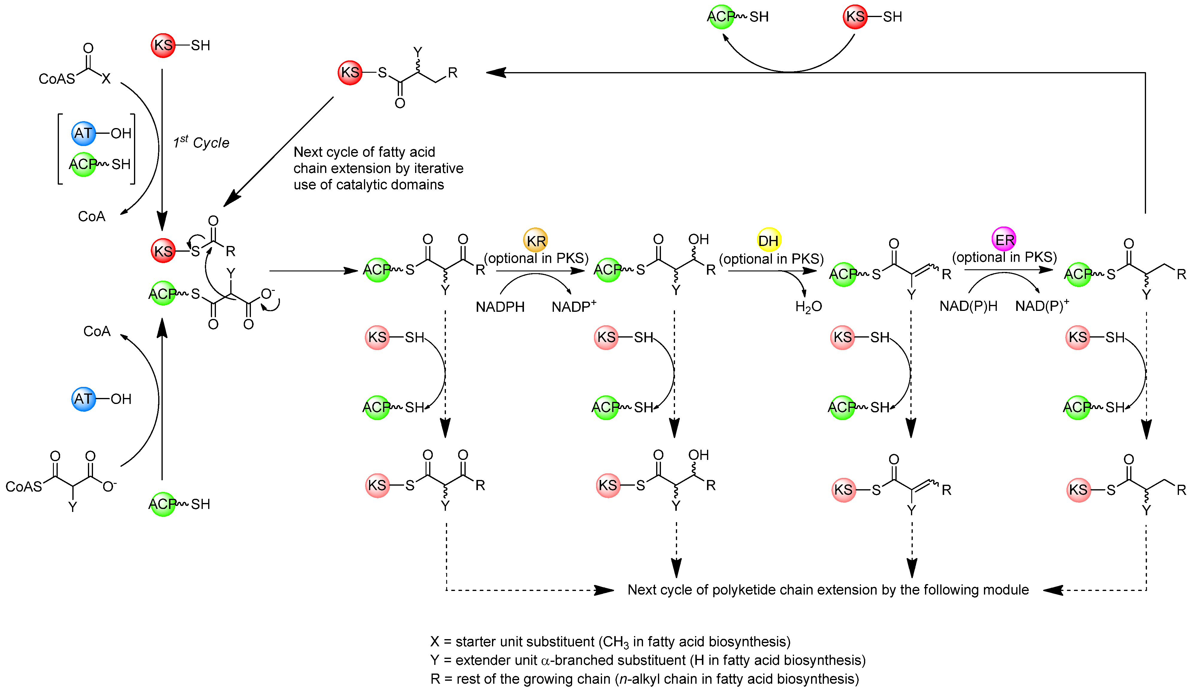Molecules 16 06092 g002