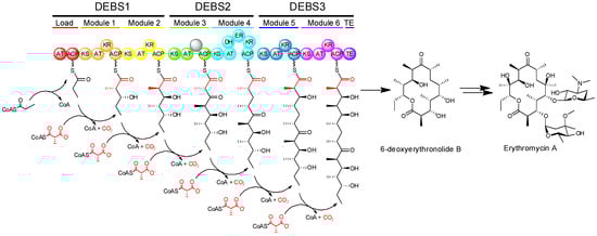Molecules 16 06092 g003 550