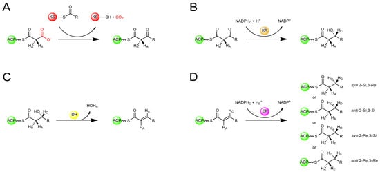 Molecules 16 06092 g004 550