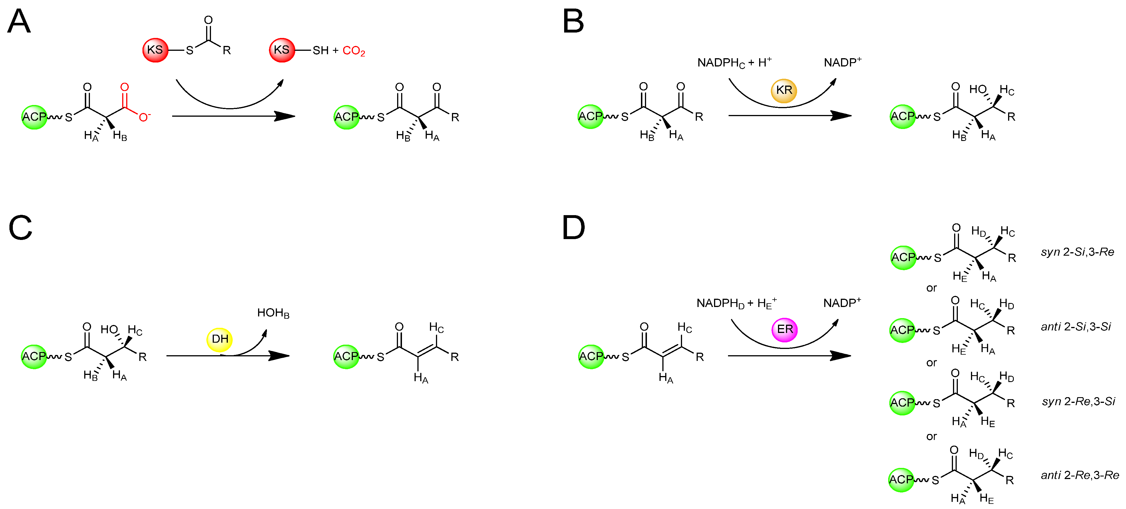 Molecules 16 06092 g004