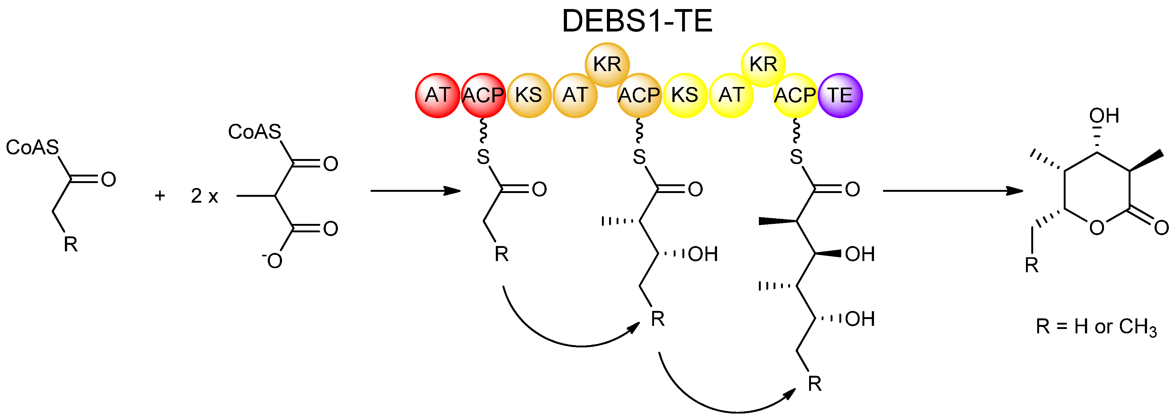 Molecules 16 06092 g005