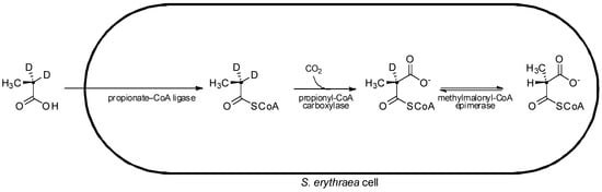 Molecules 16 06092 g006 550