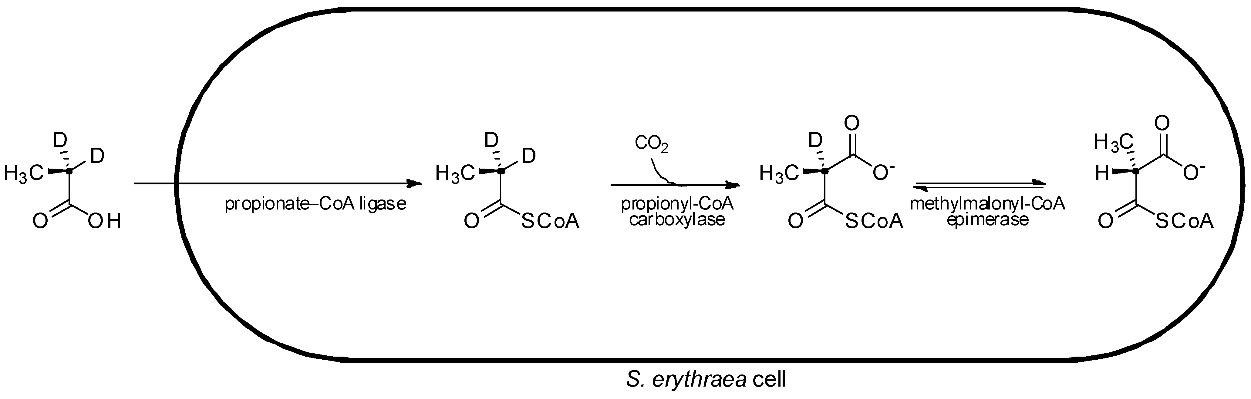 Molecules 16 06092 g006