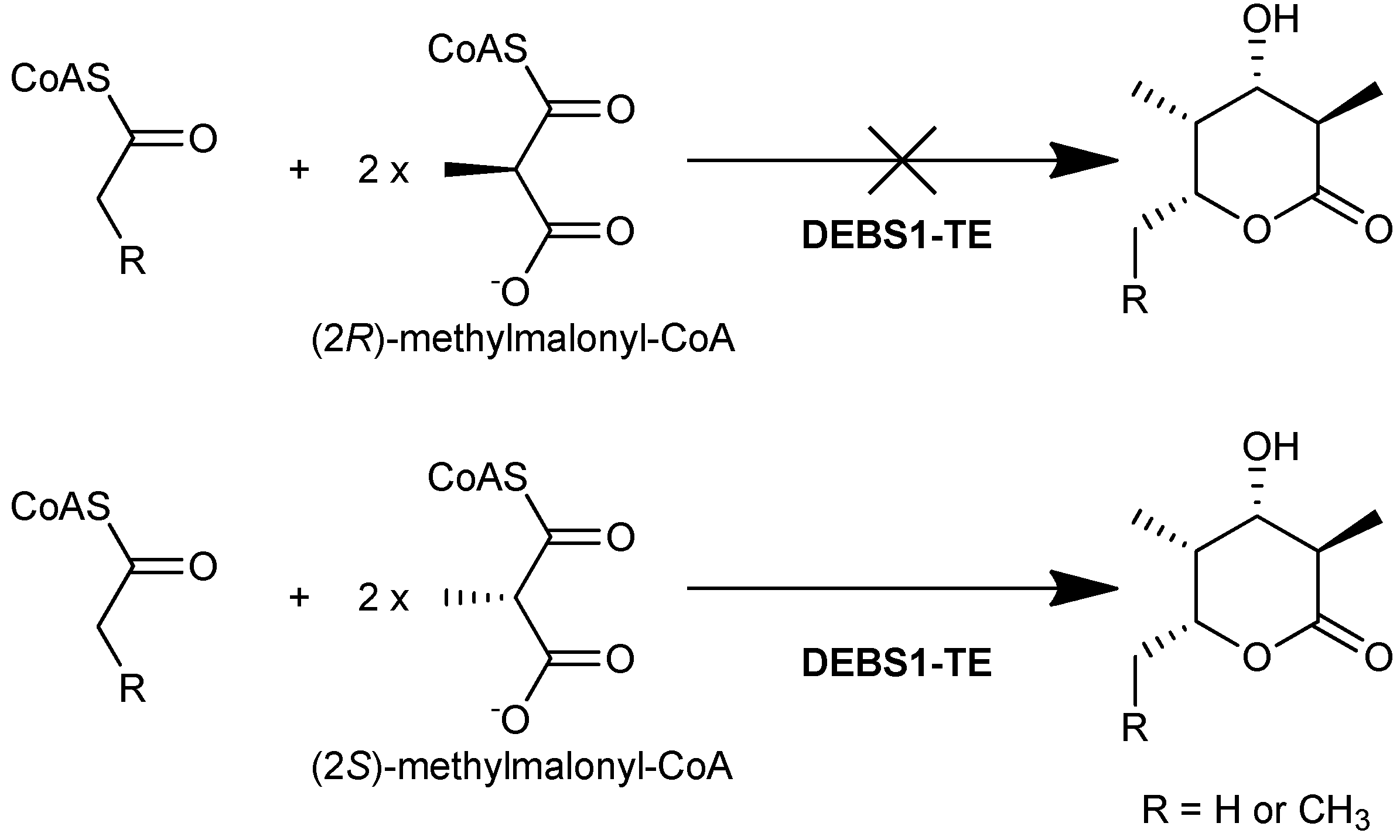 Molecules 16 06092 g007