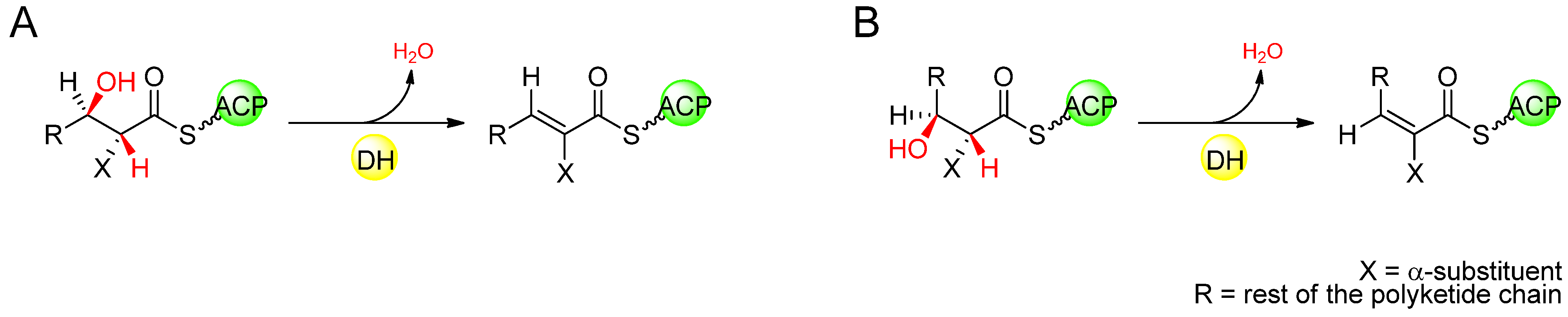 Molecules 16 06092 g010