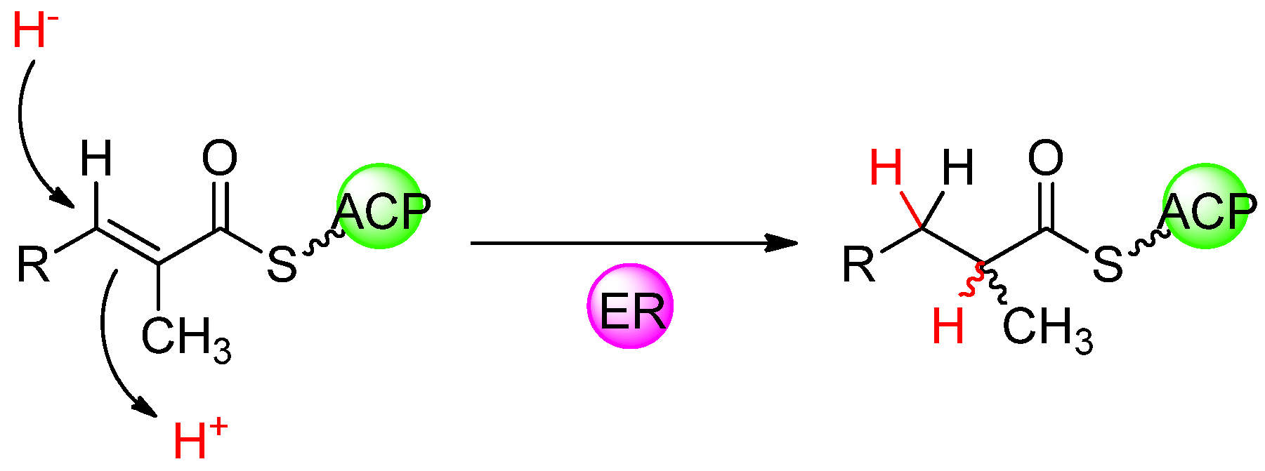 Molecules 16 06092 g011