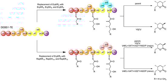 Molecules 16 06092 g012 550