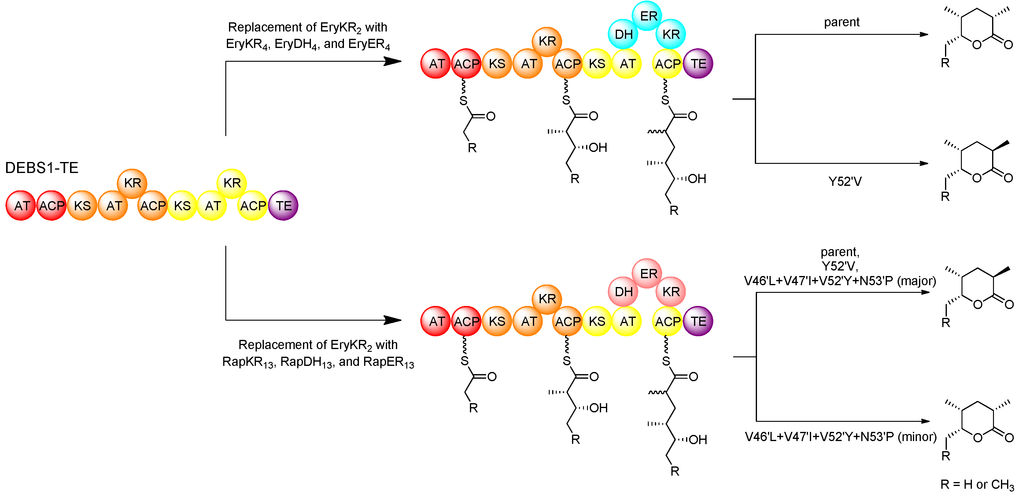 Molecules 16 06092 g012