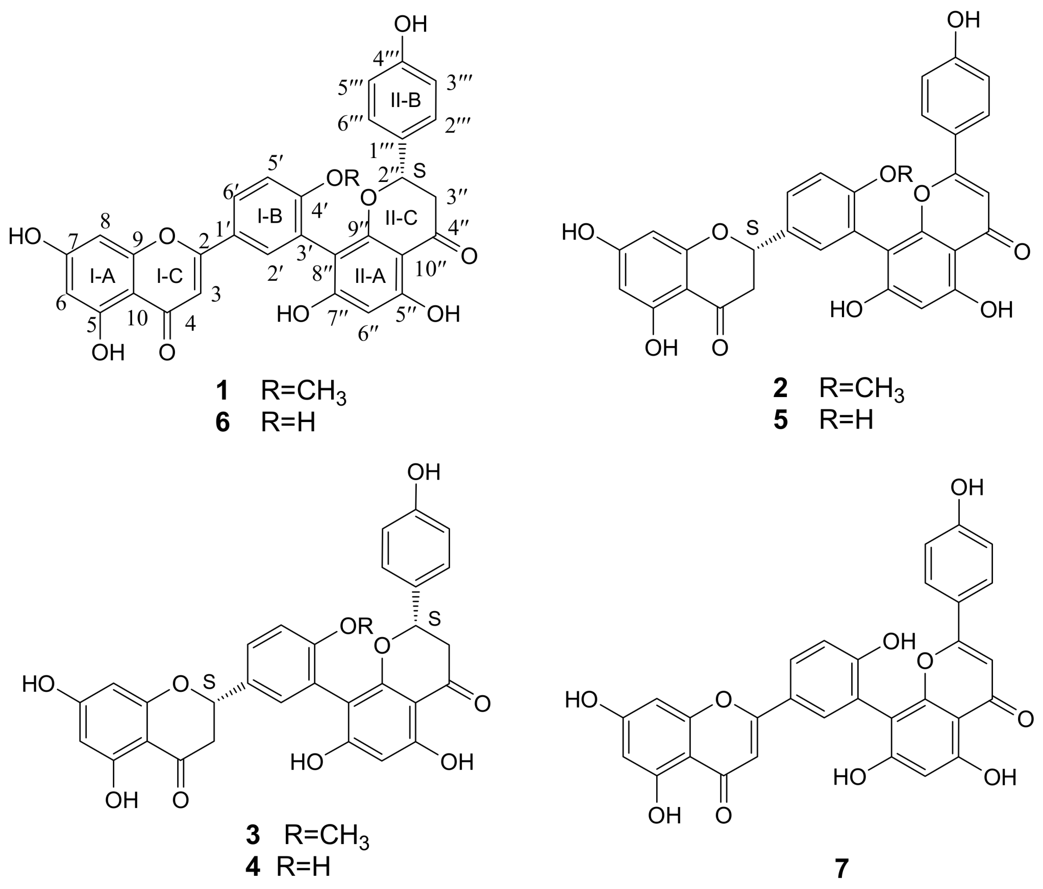 Molecules 16 06206 g001