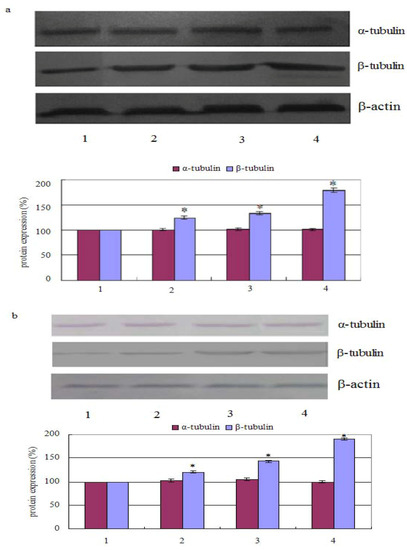 Molecules 16 06243 g002 550