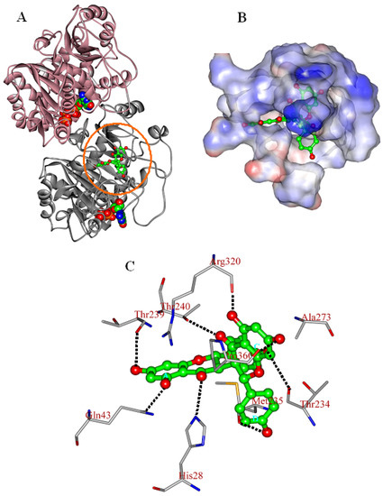 Molecules 16 06243 g004 550