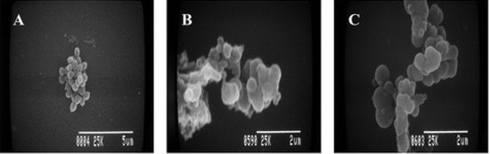 Molecules 16 06255 g002 550