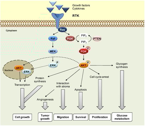 Molecules 16 06349 g001 550