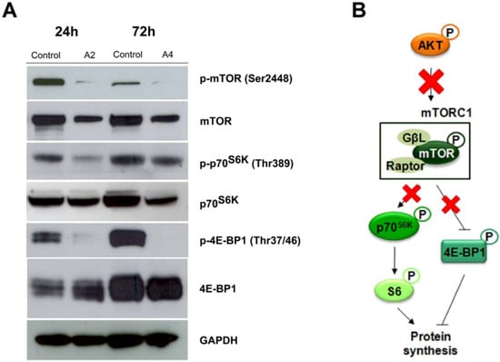 Molecules 16 06349 g005 550