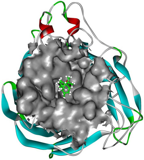 Molecules 16 06489 g004 550