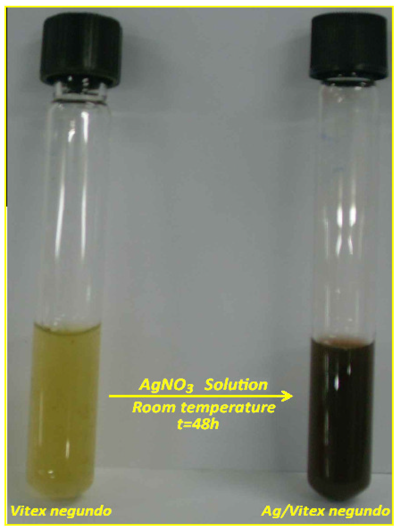 Molecules 16 06667 g001