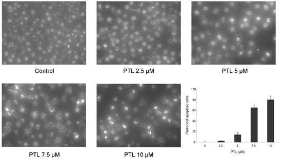 Molecules 16 06758 g002 550