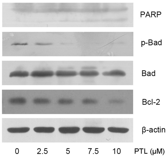 Molecules 16 06758 g003 550