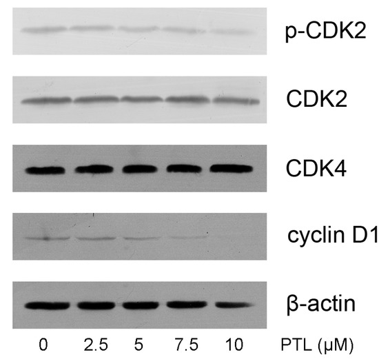 Molecules 16 06758 g005 550
