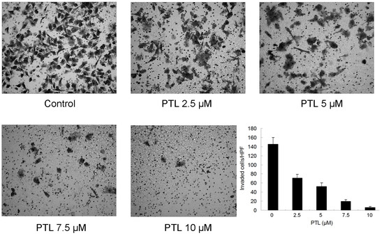 Molecules 16 06758 g006 550