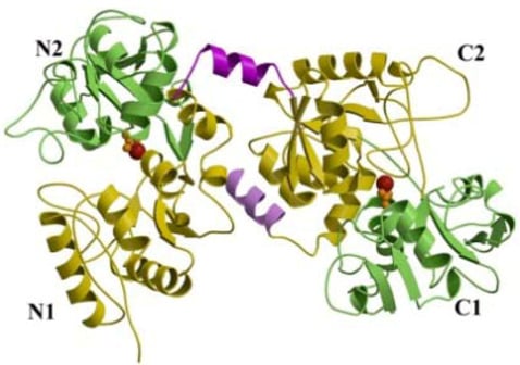 Molecules 16 06992 g001 550