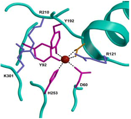 Molecules 16 06992 g002