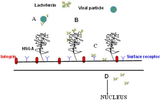 Molecules 16 06992 g004 550