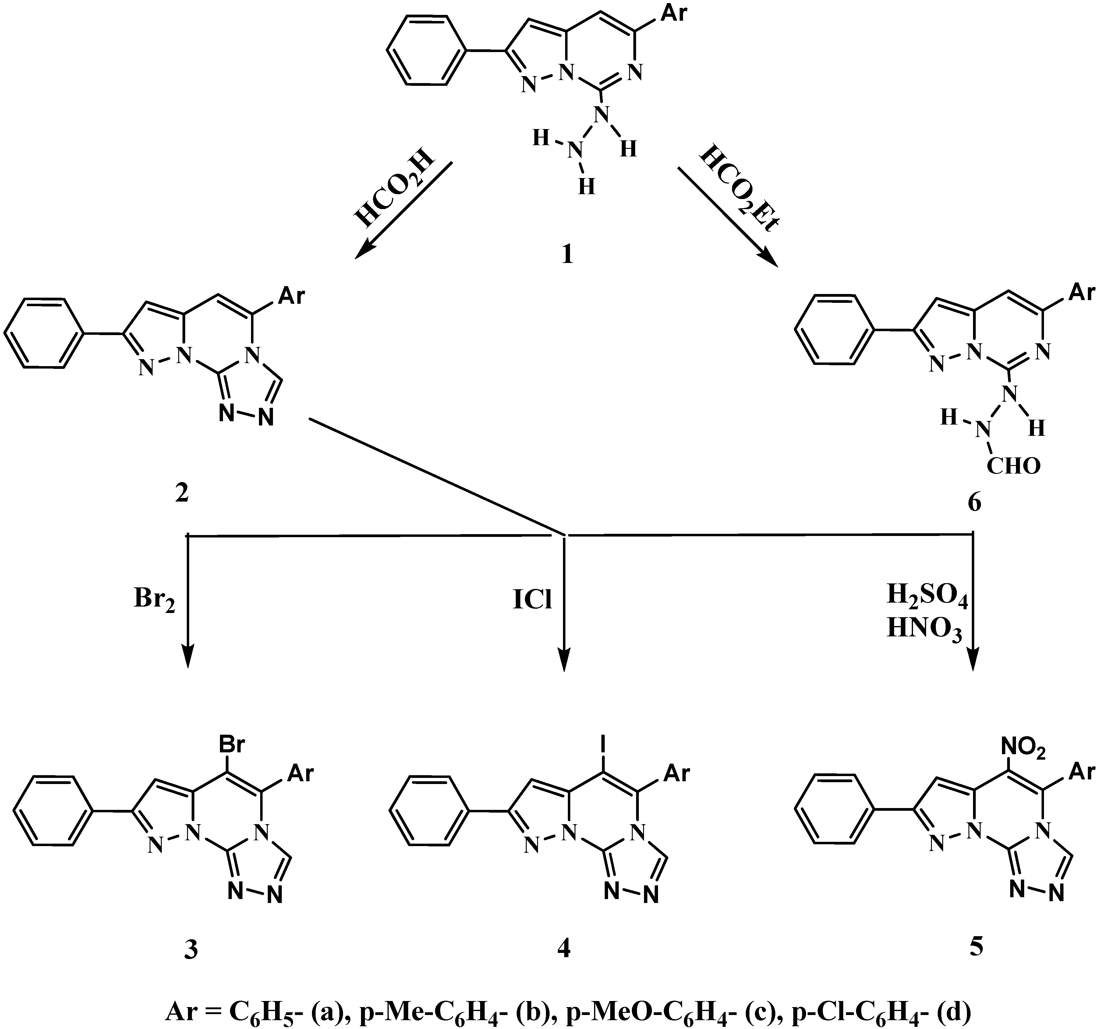 Molecules 16 07081 g001