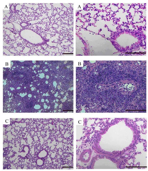Molecules 16 07634 g005 550