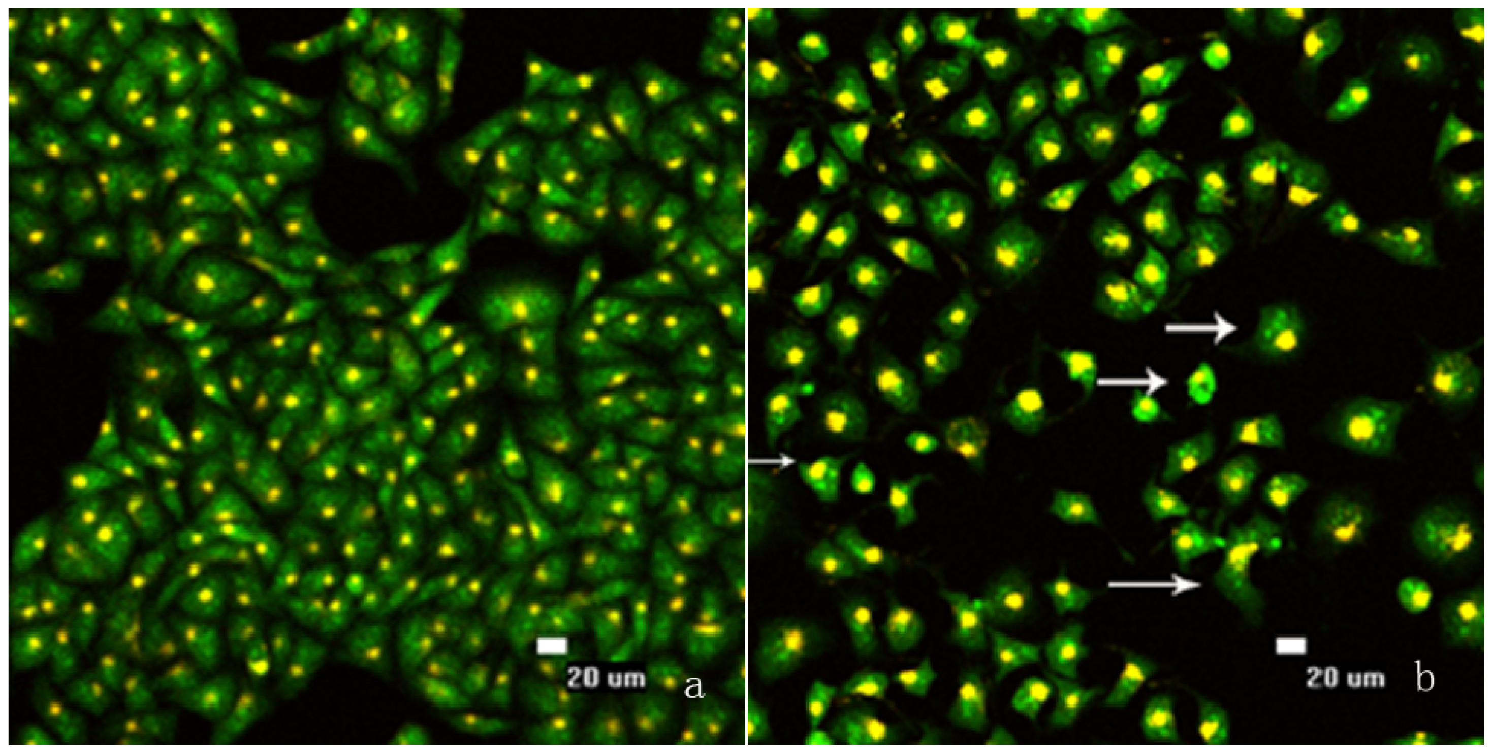 Molecules 16 07803 g003