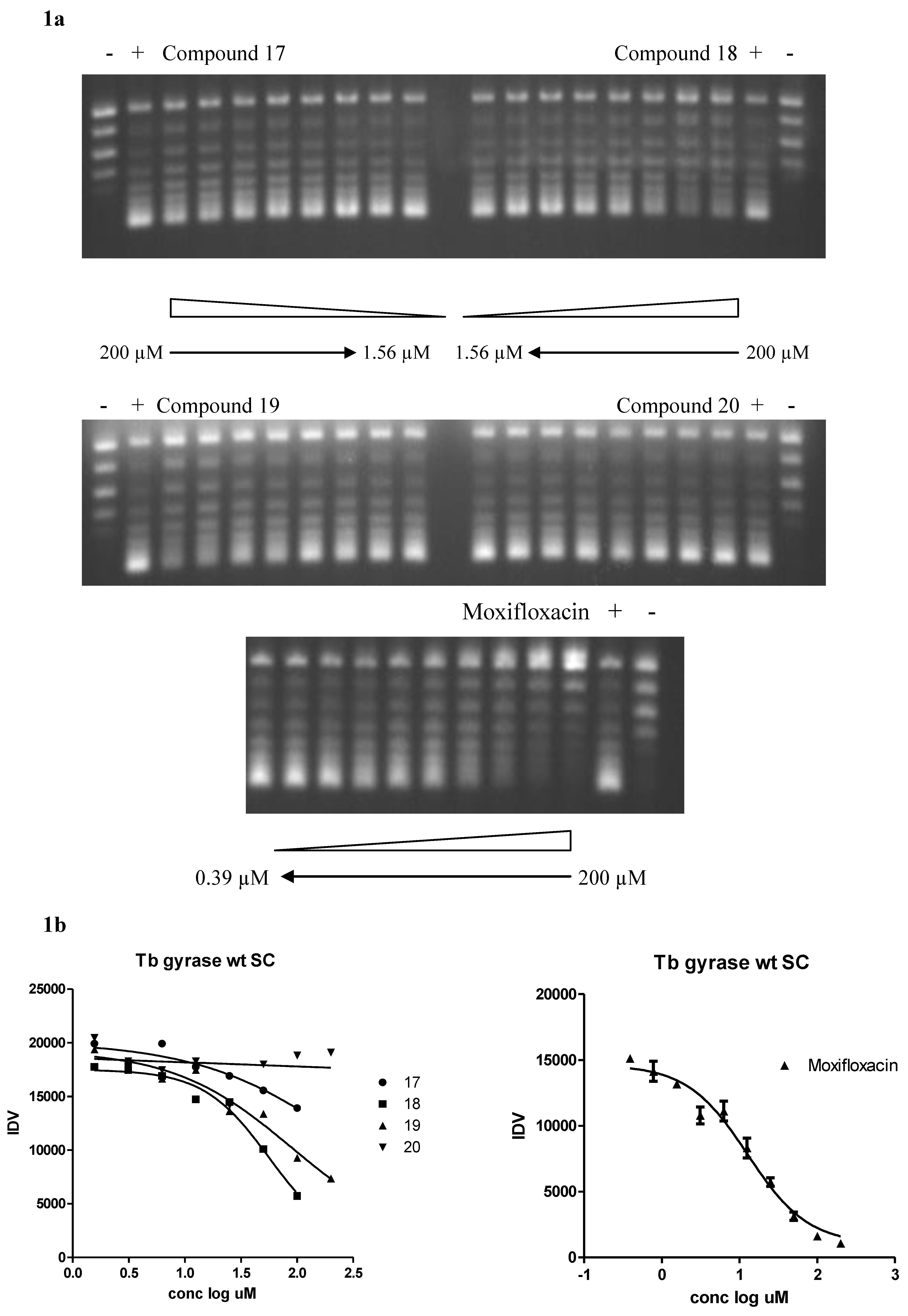 Molecules 16 07864 g001