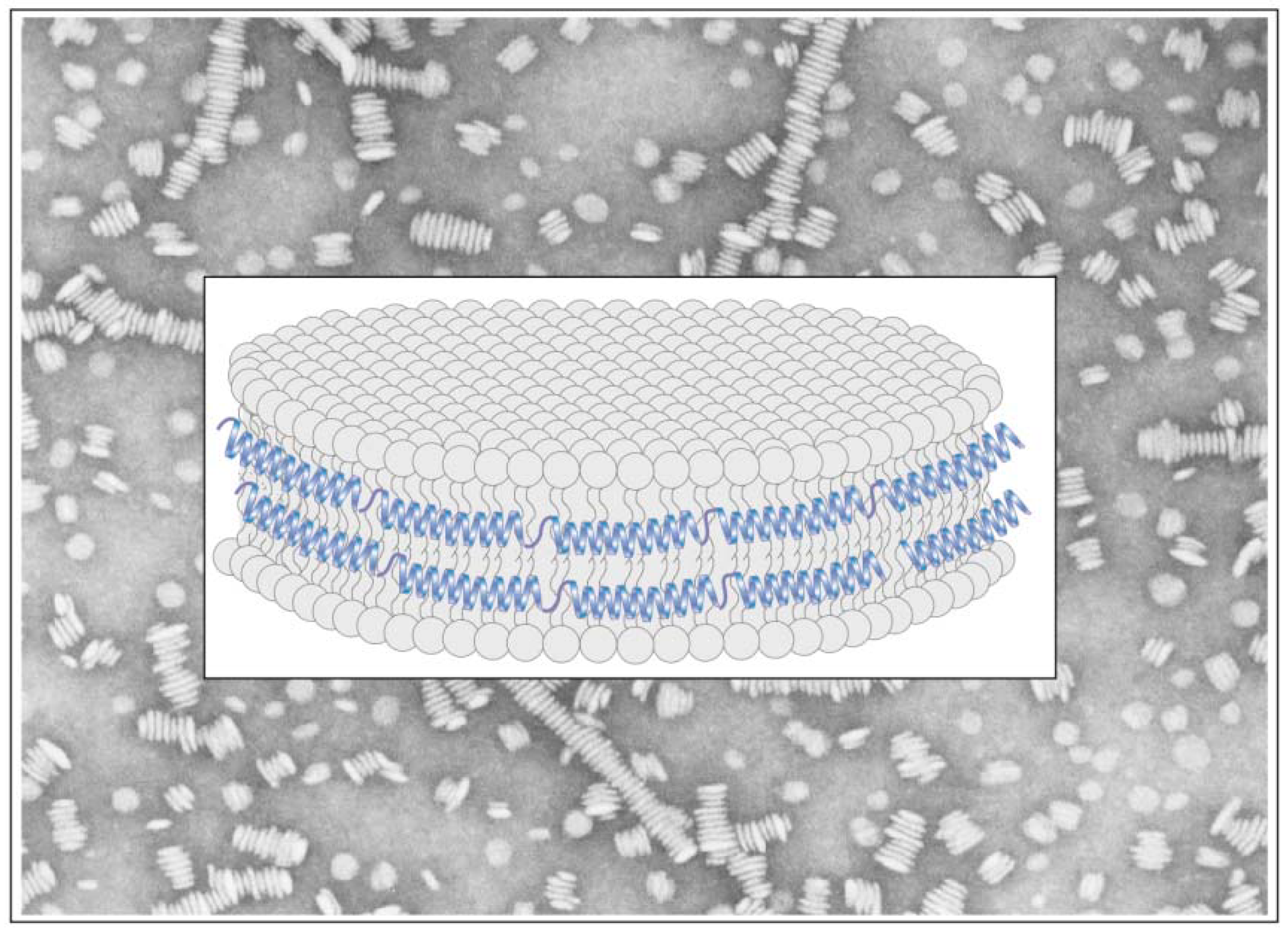 Molecules 16 07909 g007