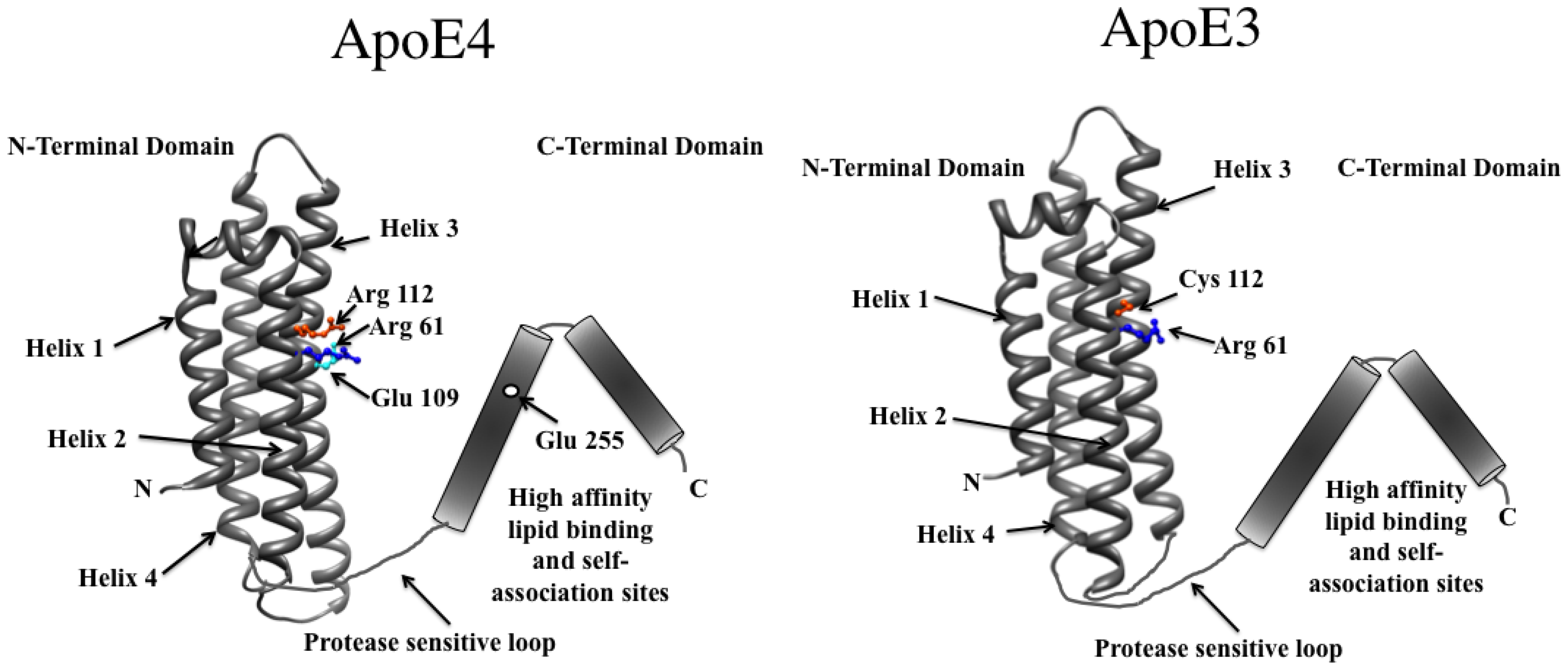 Molecules 16 07909 g008