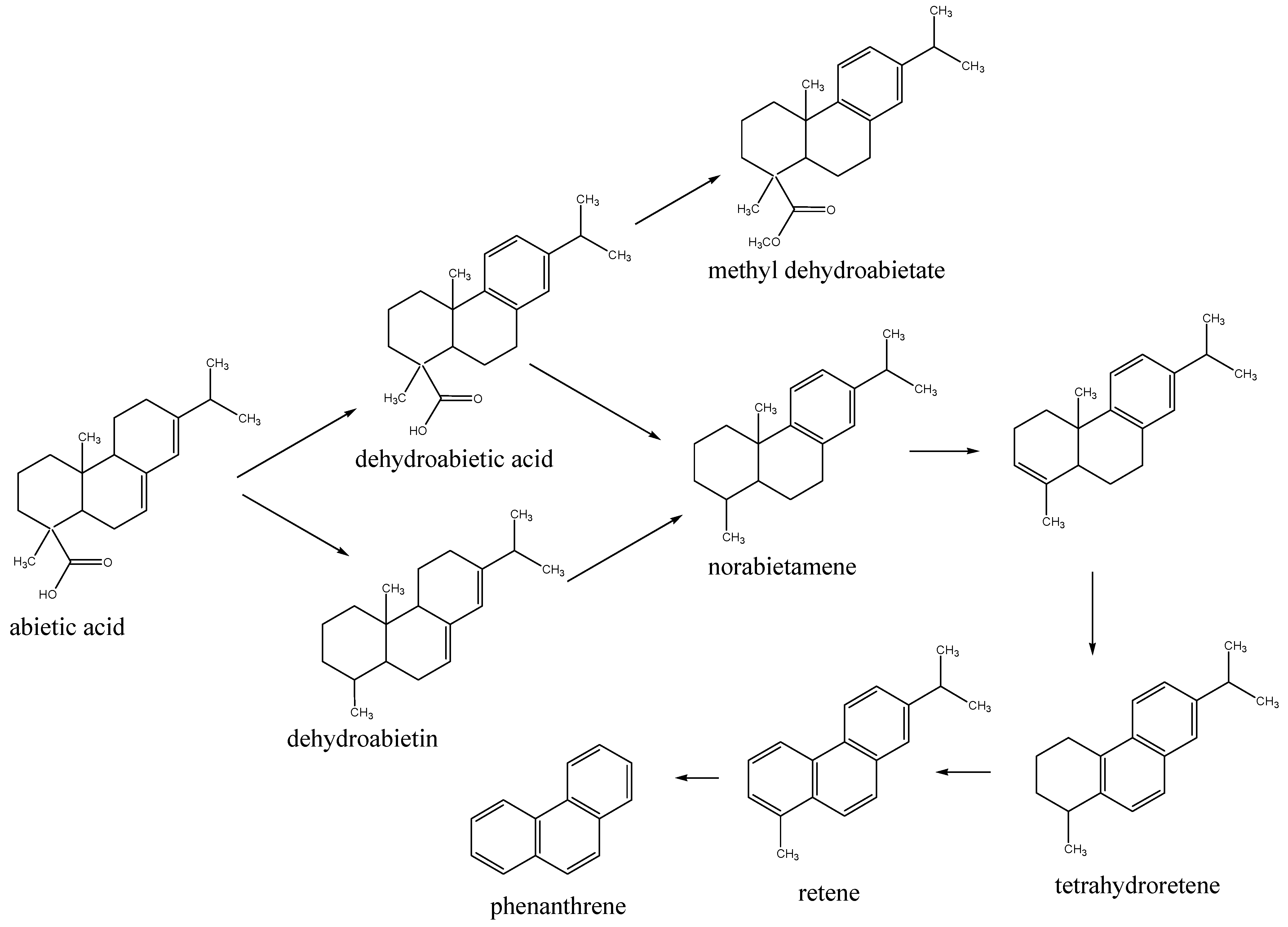 Molecules 16 07936 sch001