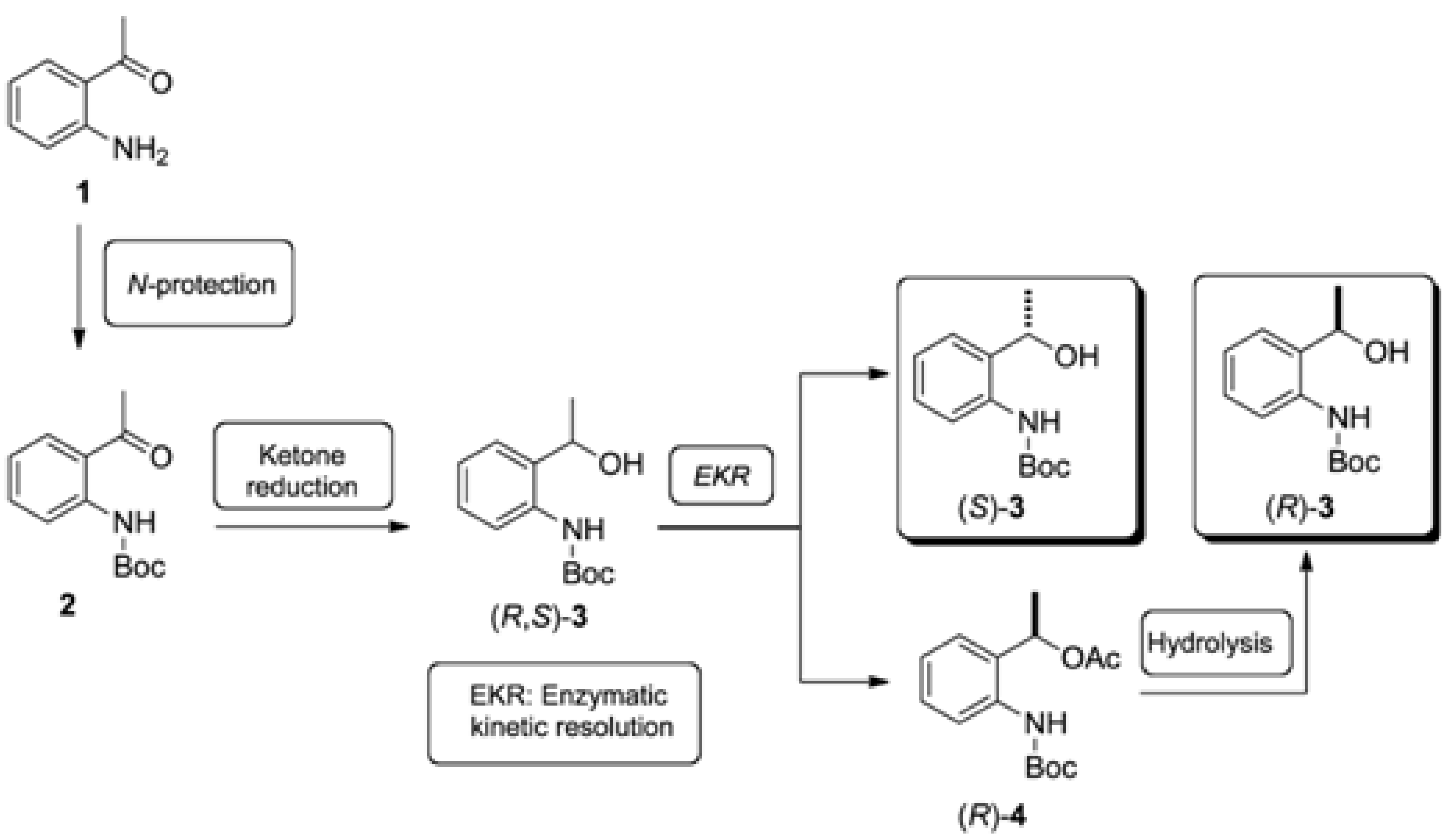Molecules 16 08098 g002