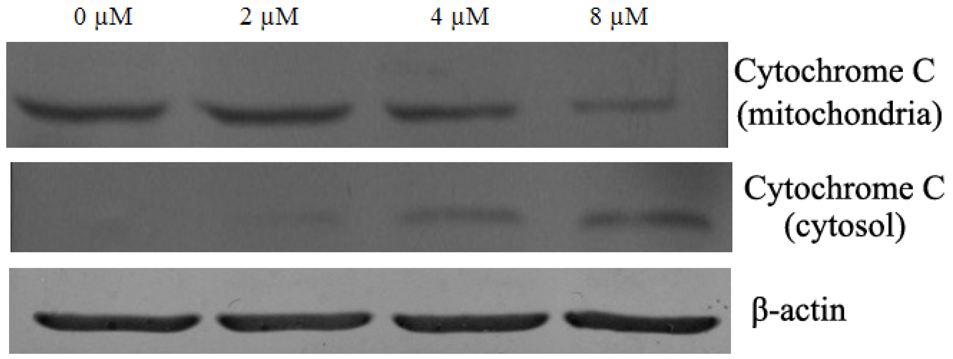 Molecules 16 08165 g007