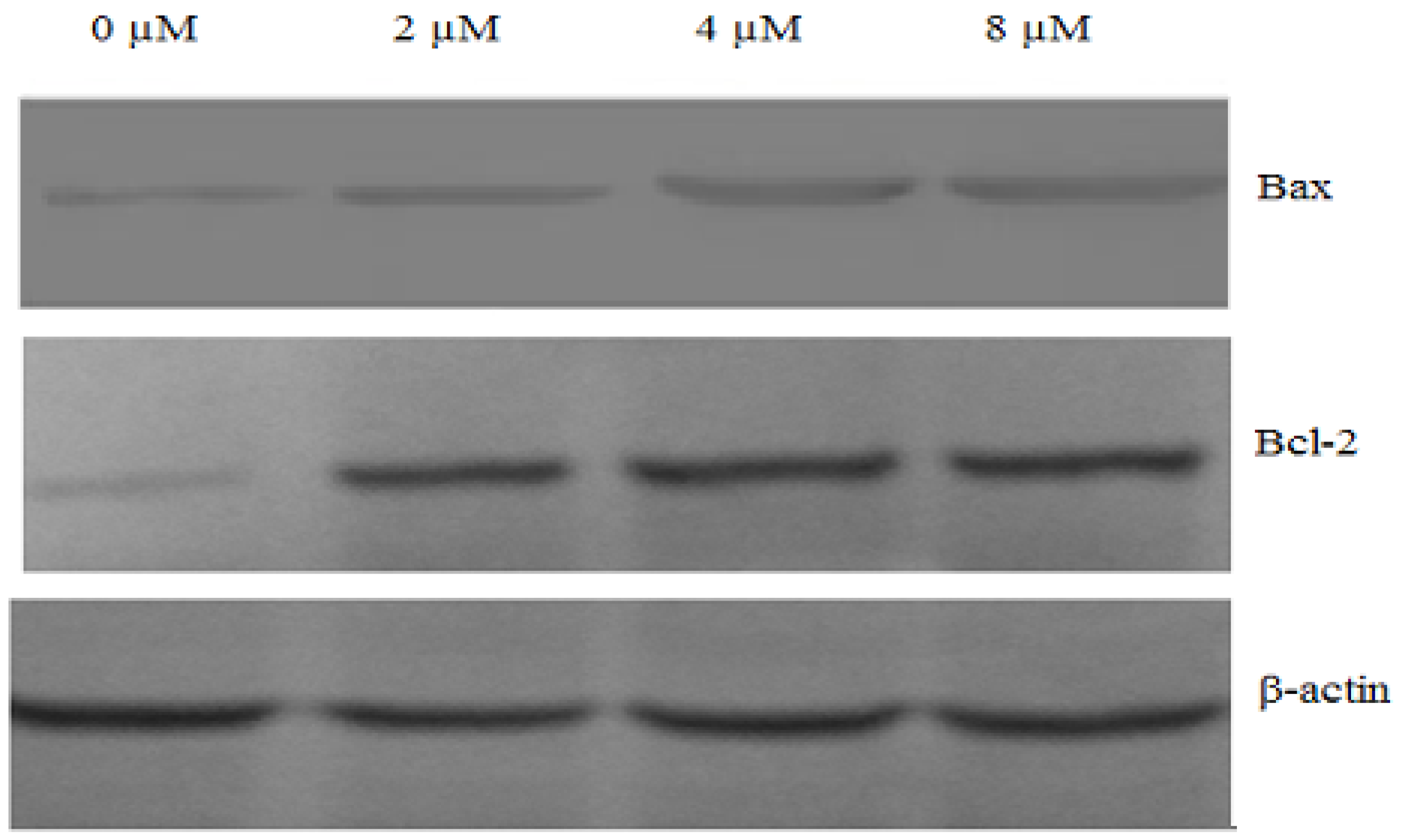 Molecules 16 08165 g008