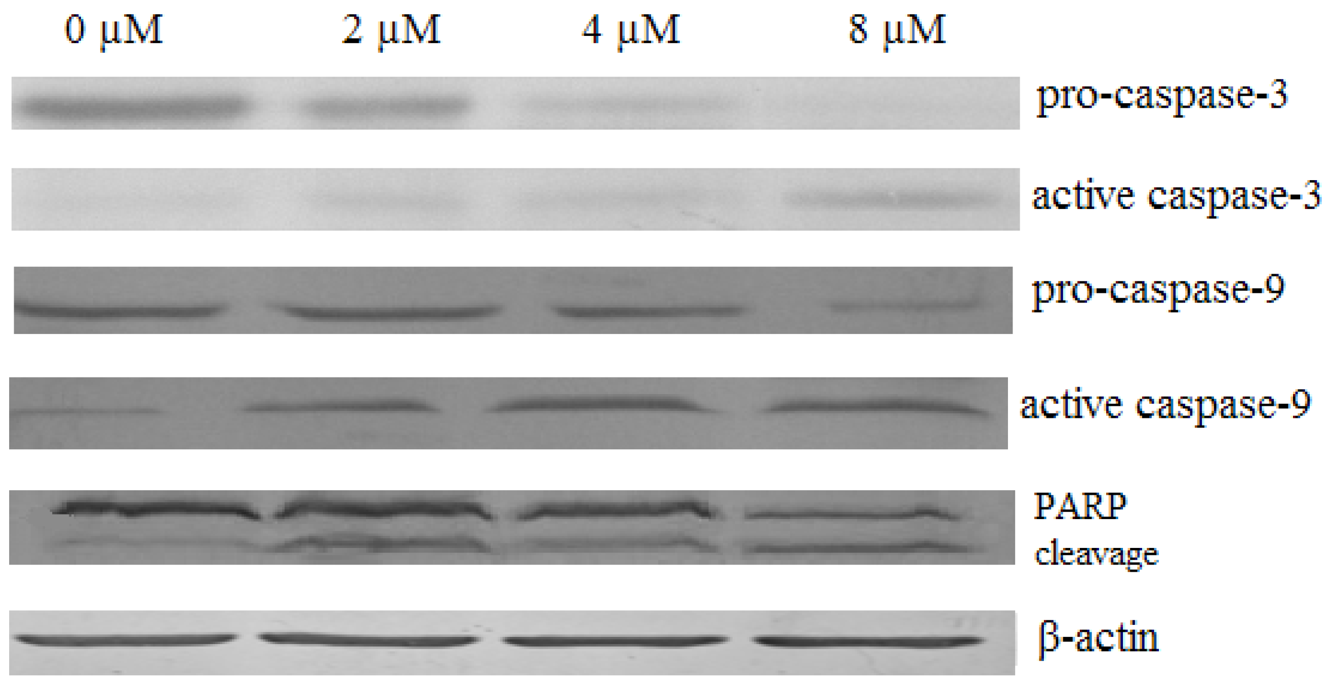 Molecules 16 08165 g009