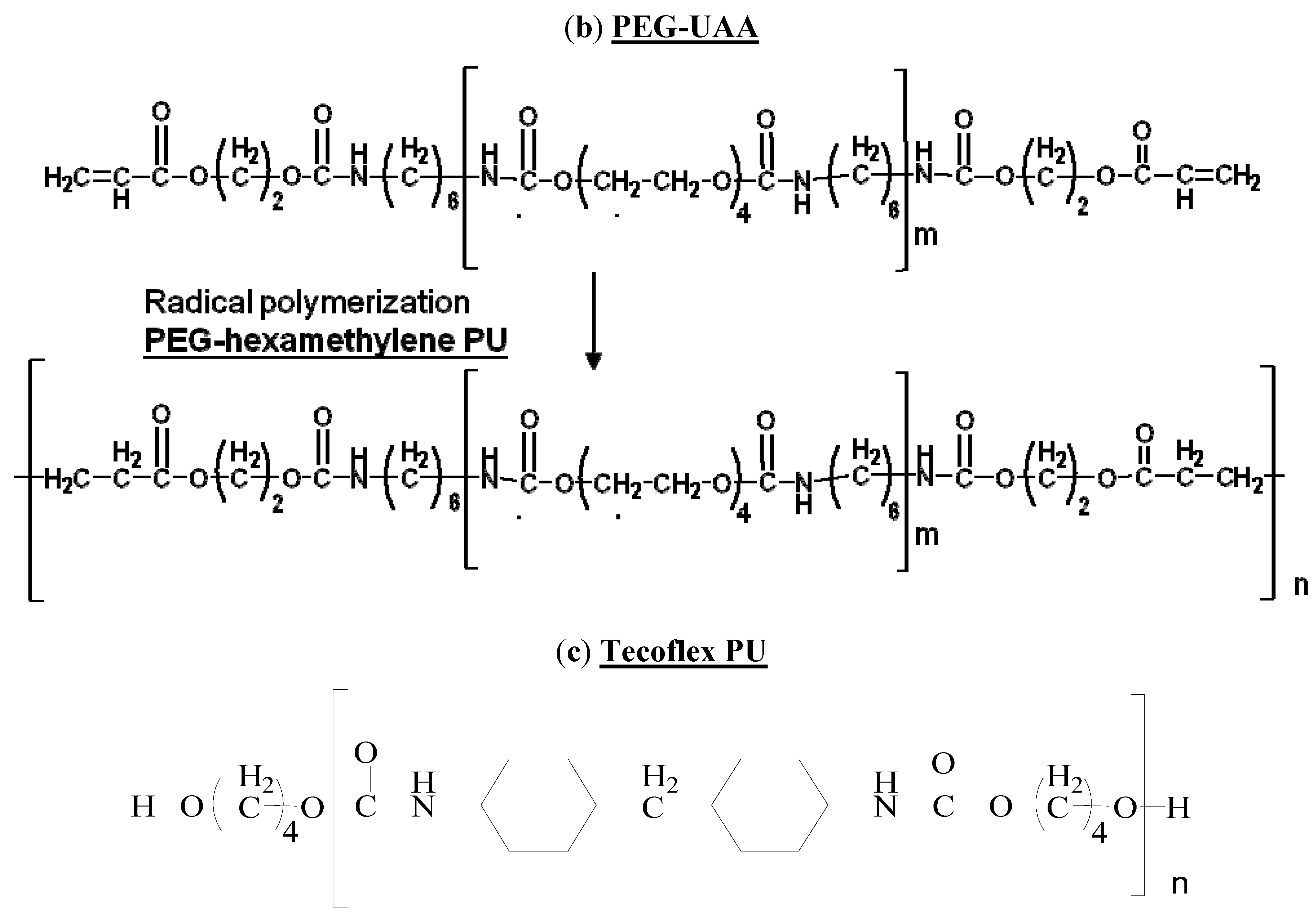 Molecules 16 08181 sch001b