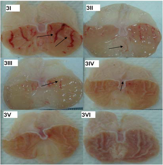 Molecules 16 08654 g003 550