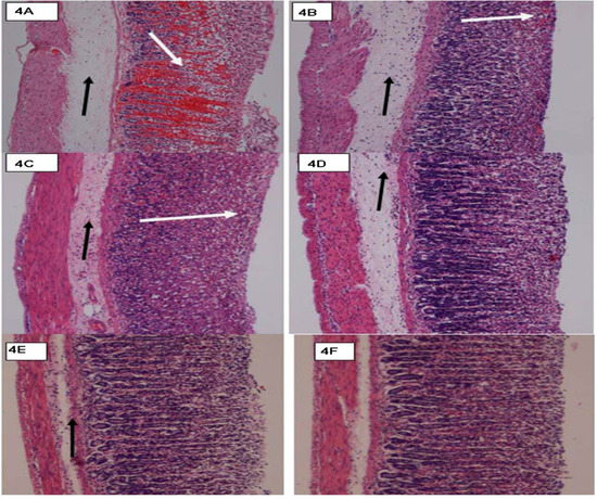 Molecules 16 08654 g004 550
