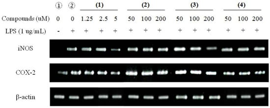 Molecules 16 08833 g004 550