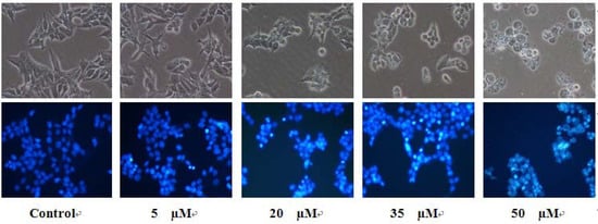 Molecules 16 08833 g007 550