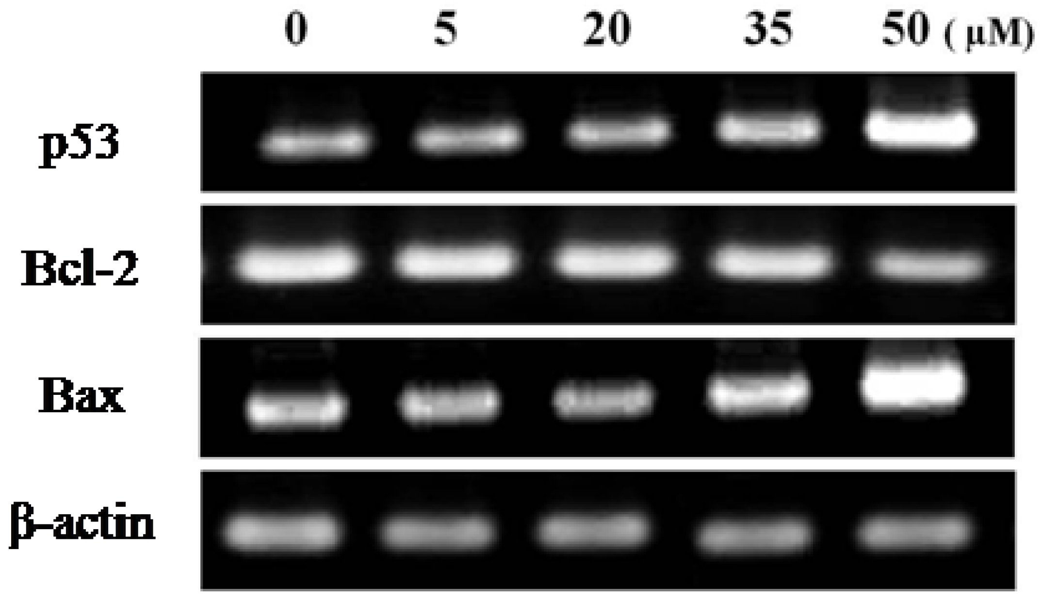 Molecules 16 08833 g008