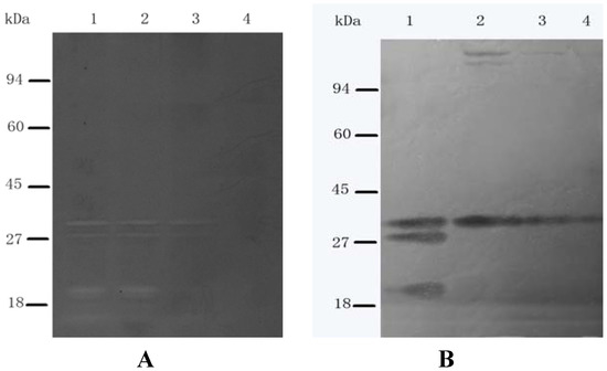 Molecules 16 08848 g004 550
