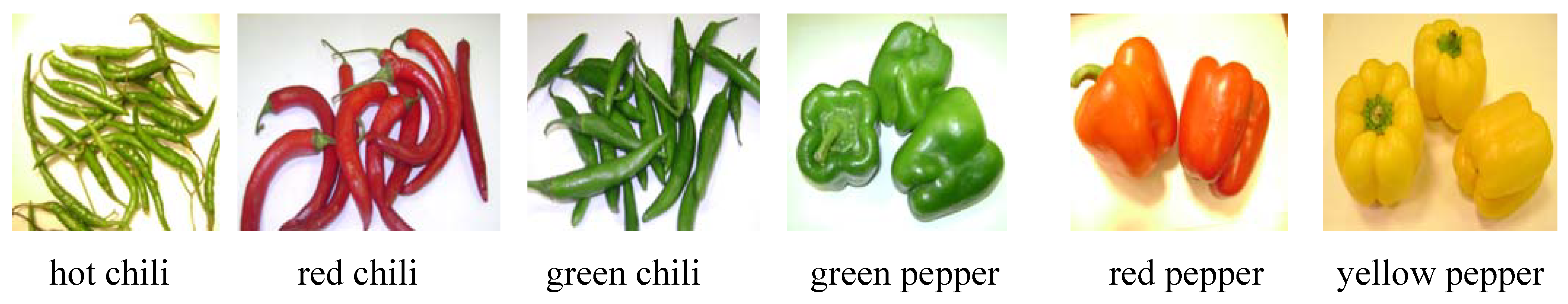 Molecules 16 08919 g005